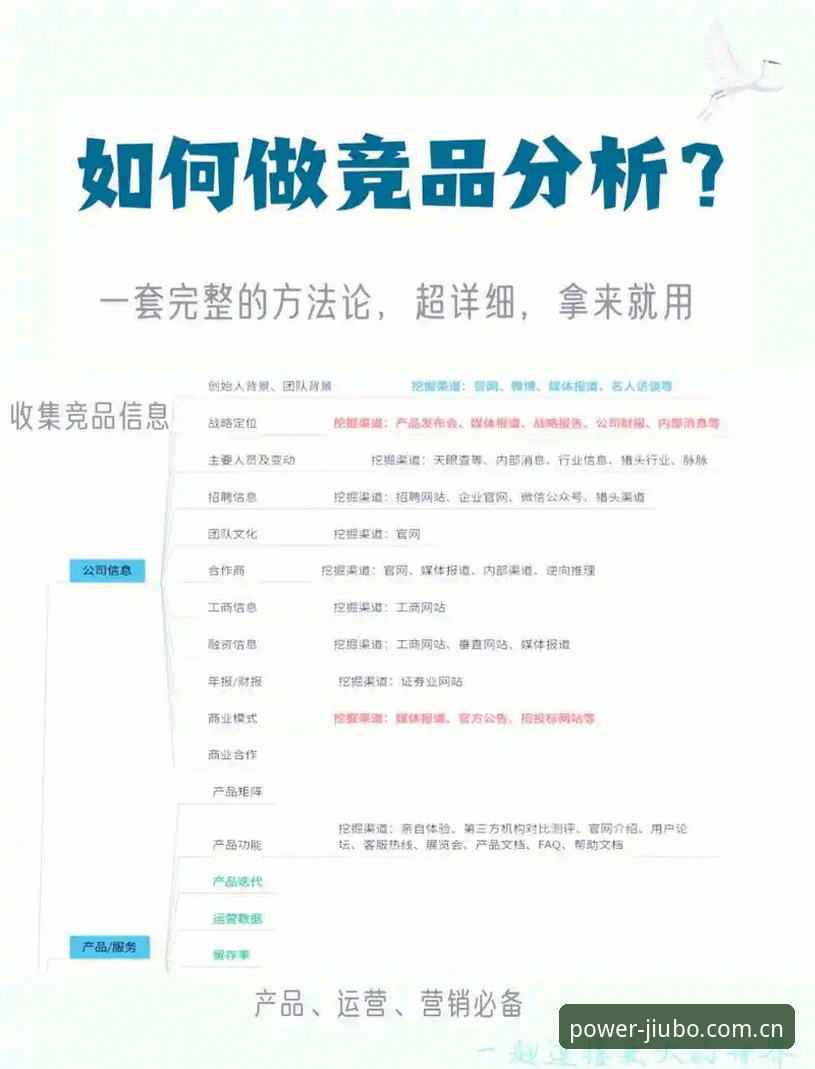 九博国际官网入口全面解析：从品牌可信度到竞品对比的深度分析
